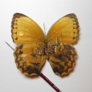 精妙絕倫的袖珍風(fēng)景畫