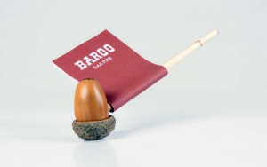 堅(jiān)果“大煙槍”