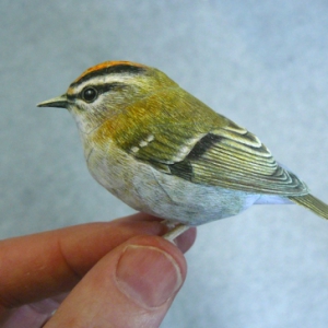 以假亂真的3D紙鳥