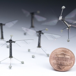 世界最小的蒼蠅機(jī)器人