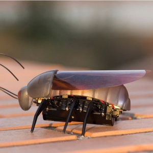 iphone遙控昆蟲機器人