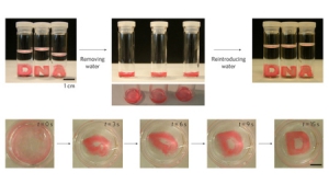 具備形狀記憶功能的水凝膠