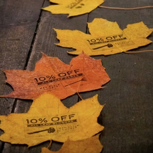 落葉優(yōu)惠券