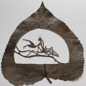 樹葉上的藝術(shù)