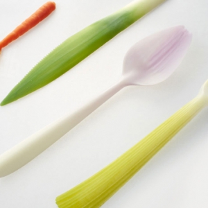 環(huán)?！磅r蔬”餐具