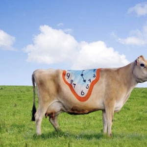 “牛”體藝術(shù)