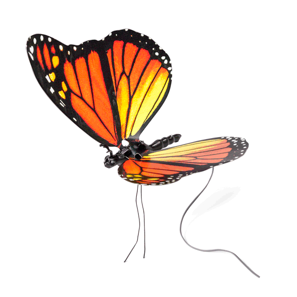 翩翩飛舞的電子蝴蝶