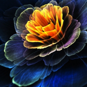 盛開的數(shù)字花朵