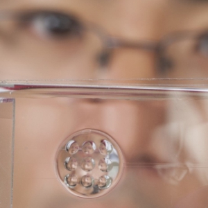 可變焦的仿生鏡片