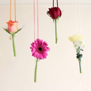 一枝獨(dú)秀的懸掛花瓶