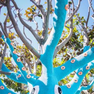 大樹(shù)的章魚(yú)毛衣