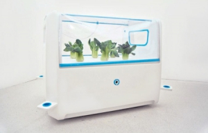 浮動(dòng)水培種植箱