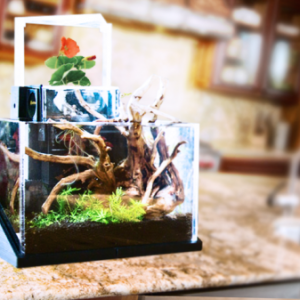 桌面生態(tài)園