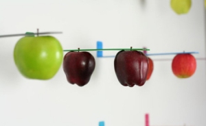 簡(jiǎn)易蘋果支架