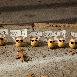 趣味食物小人擺拍