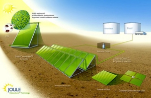 用陽光和二氧化碳制造的環(huán)保生物燃料