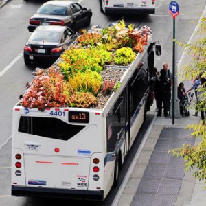 公交車頂?shù)囊苿踊▓@