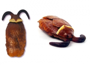 萬(wàn)圣節(jié)搞怪食品道具集錦