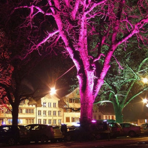 納米技術(shù)植物照明燈