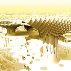 木制公共“遮陽傘”