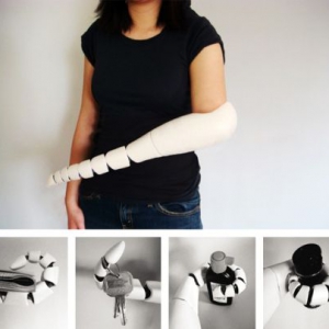 多節(jié)仿生假肢