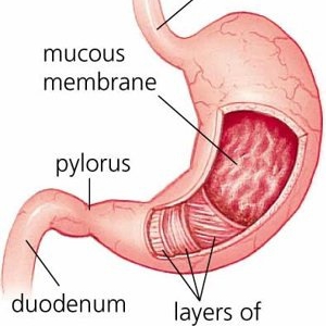 方便的醫(yī)檢膠囊機(jī)器人發(fā)布