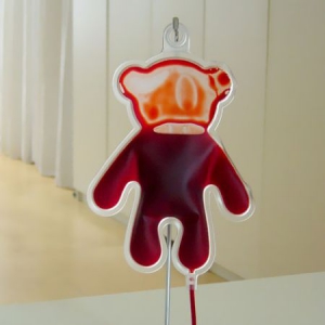 可愛的泰迪熊血袋