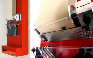 食肉的生物能時鐘